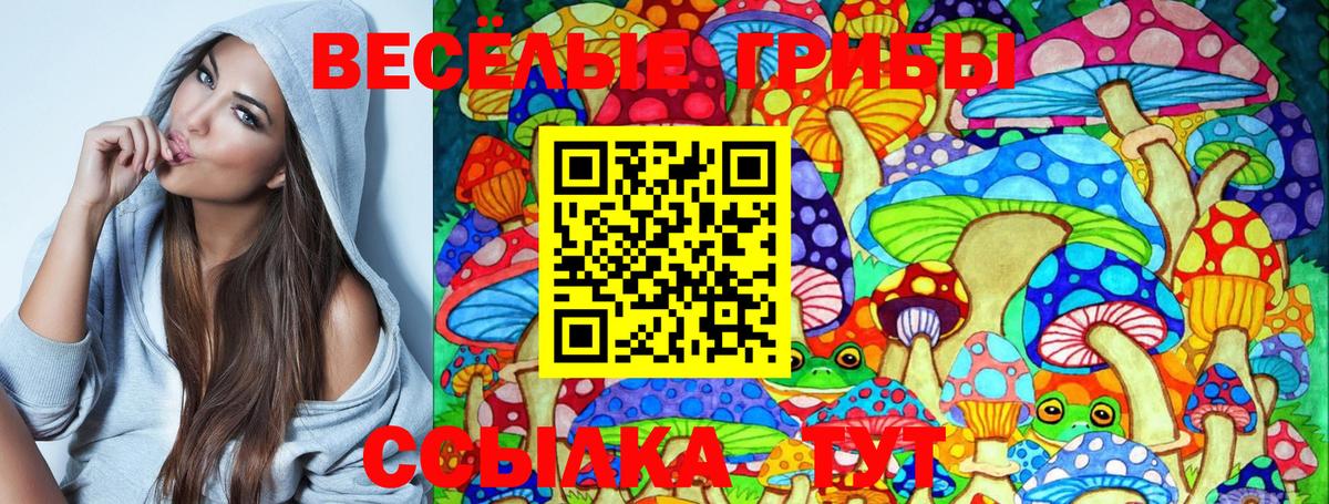Галлюциногенные грибы GOLDEN TEACHER Новый Уренгой