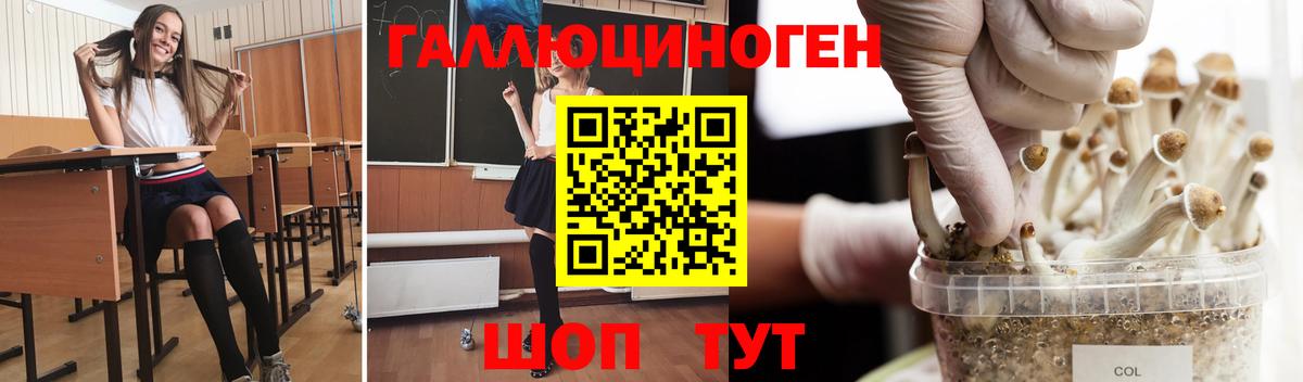 Галлюциногенные грибы Magic Shrooms  купить   Вход с VPN  Новый Уренгой  Псилоцибиновые грибы MAGIC MUSHROOMS 